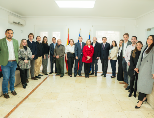 CESCE analiza el impacto de la Megarreforma y el rol de las garantías en el nuevo escenario económico